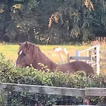Privatzimmer Im Schwedenhaus Unsere Kleine Farm