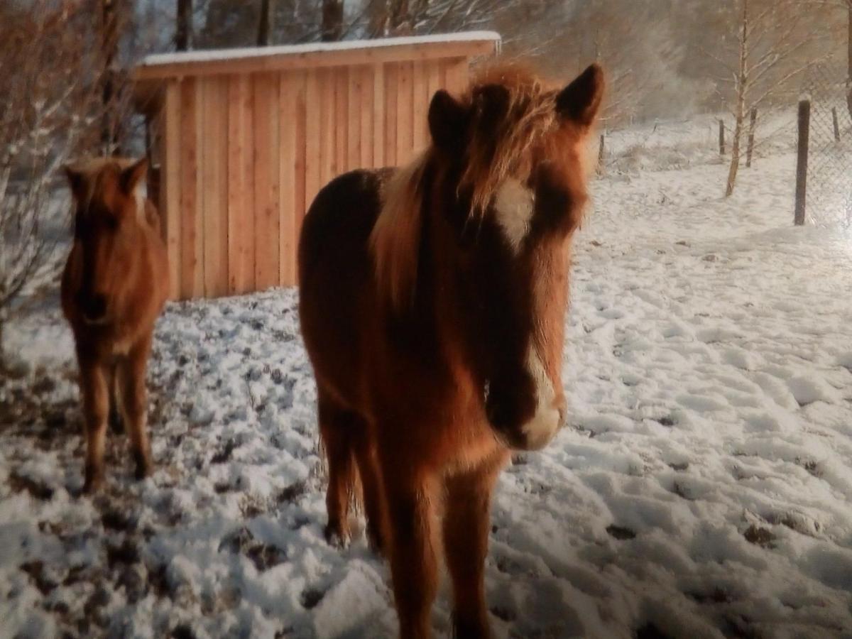 Im Schwedenhaus Unsere Kleine Farm *